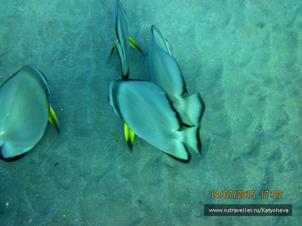 photo 1079485