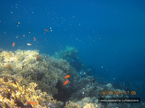 photo 1079505