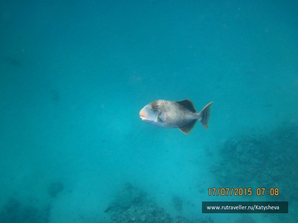 photo 1079513