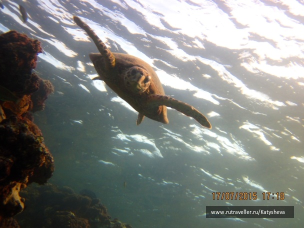 photo 1079523