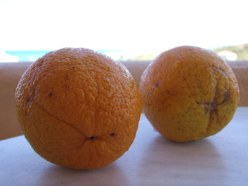 photo 1055601