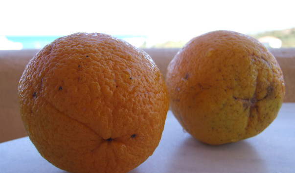 DSCF5960