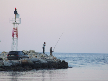 photo 1055610