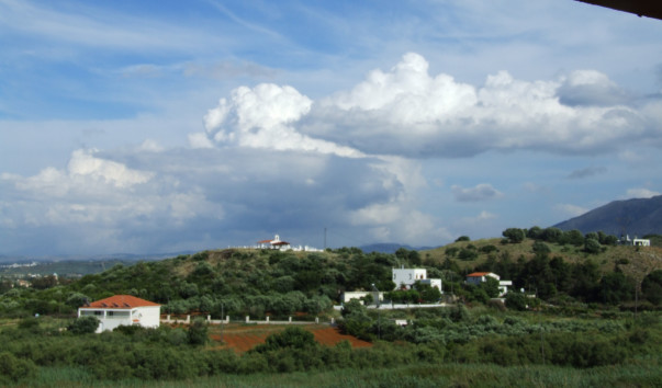 DSCF2816