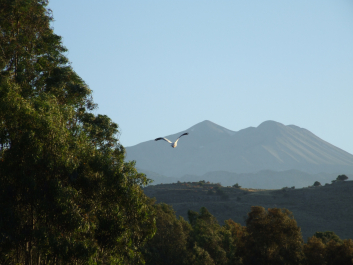 photo 1055633