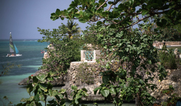 IMGP9565-1