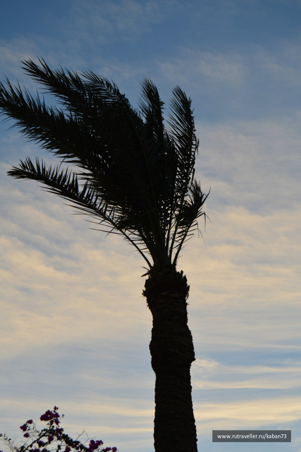 photo 249542