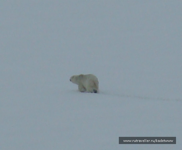 photo 317487