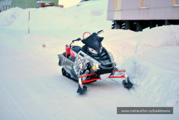 photo 268823
