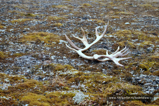 photo 404351