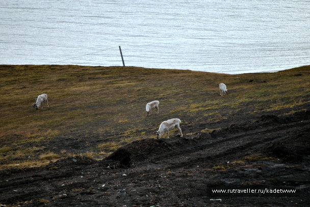 photo 411345