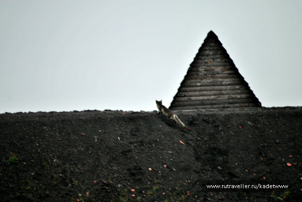 photo 426547