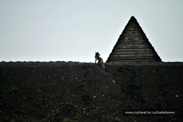 photo 426552