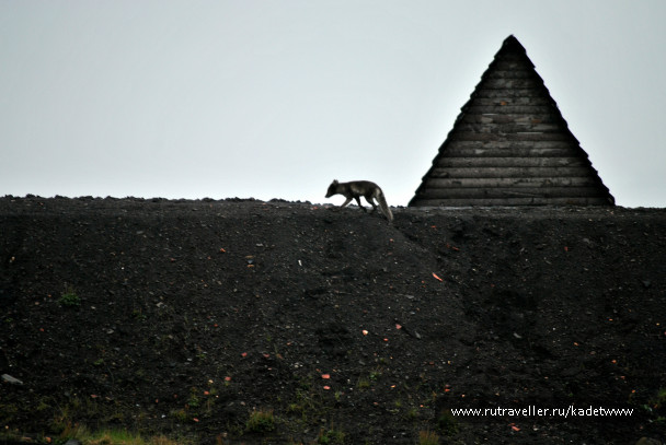 photo 426602