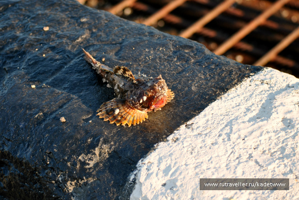 photo 433890