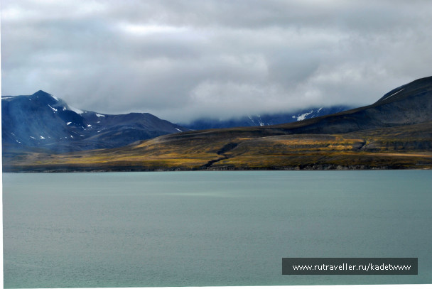 photo 446845