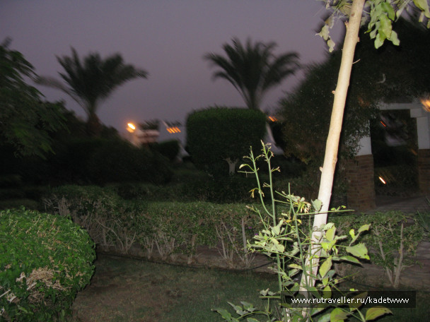 photo 189629