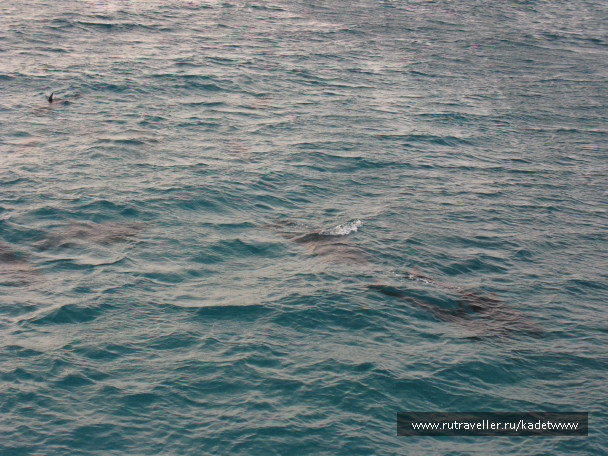 photo 189815