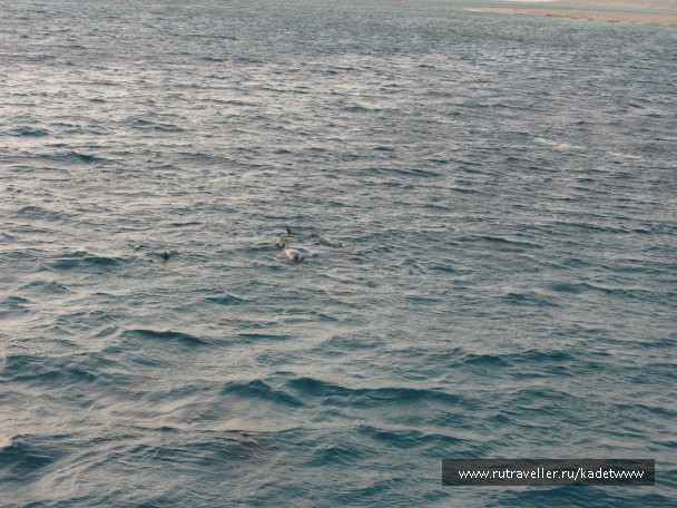 photo 189816