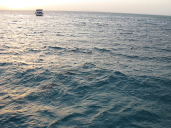photo 189817