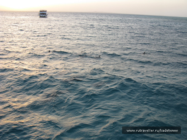 photo 189817