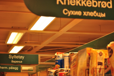 photo 338330