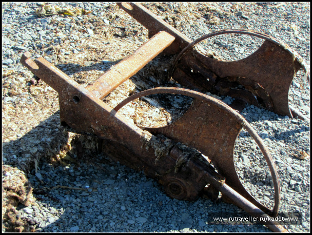 photo 236834