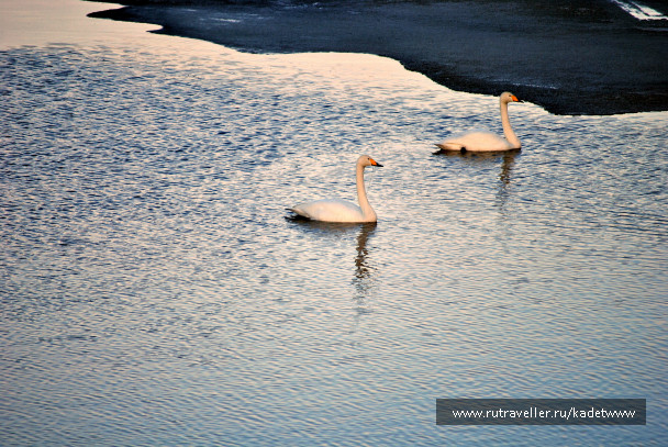 photo 345770
