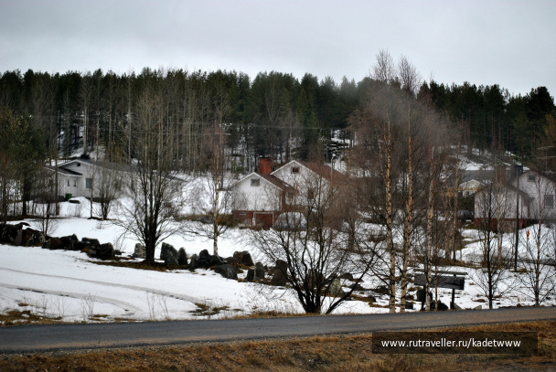 photo 345857