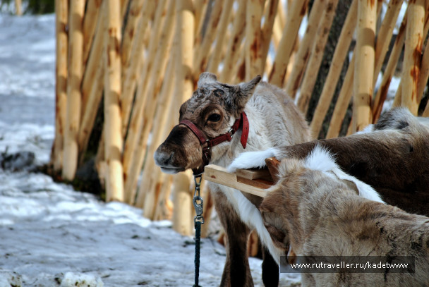 photo 348574
