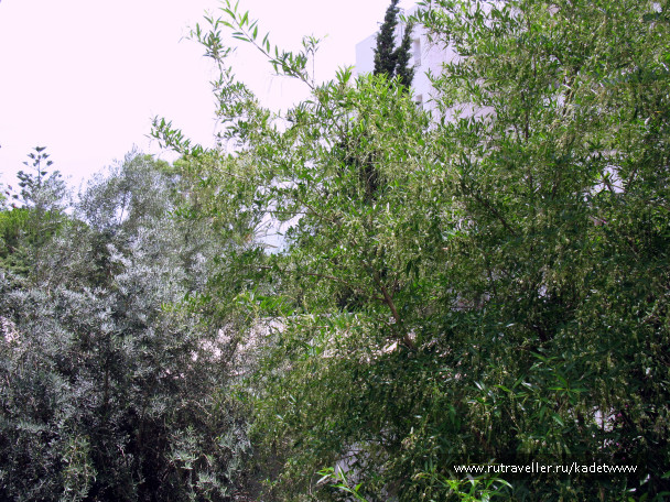 photo 411948