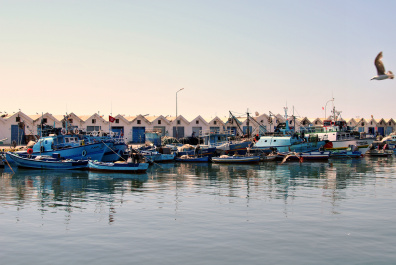 photo 423235