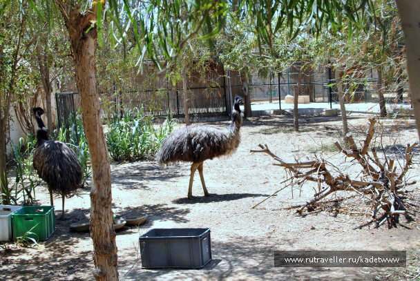 photo 423647