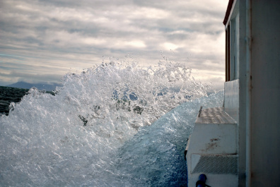 photo 445044