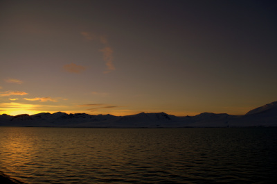 photo 560839