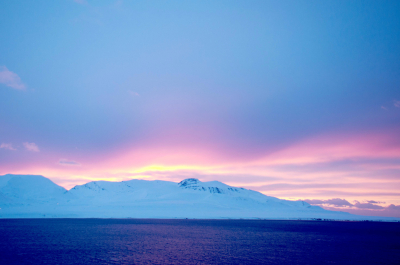 photo 685576