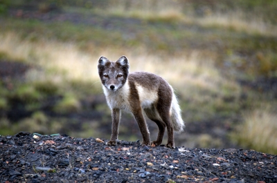 photo 789649