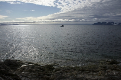 photo 820845