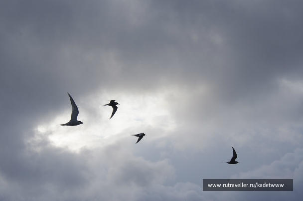 photo 861490