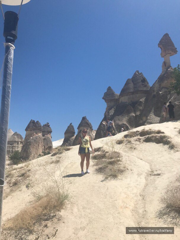 photo 1522019