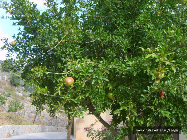 photo 412690