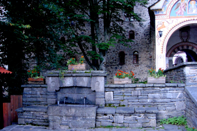 photo 1862010