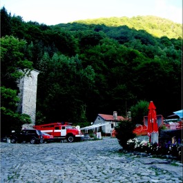 photo 1862012