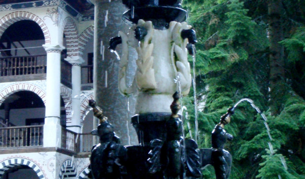 DSC00646