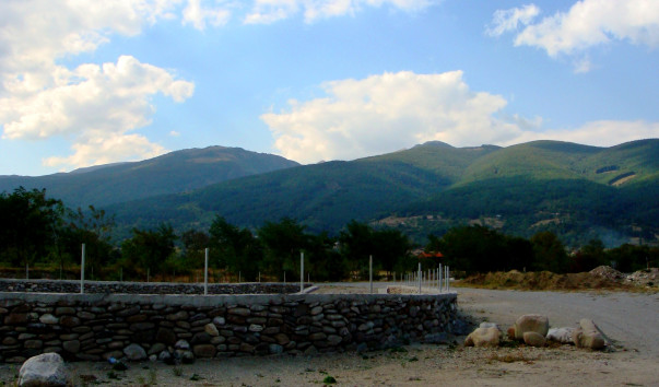 DSC00788