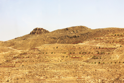 photo 1687694