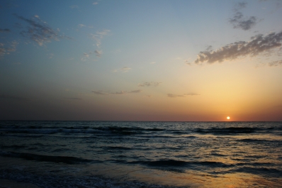 photo 884705