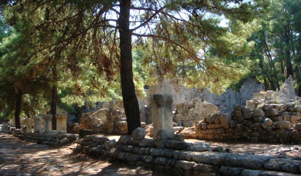 DSC00539