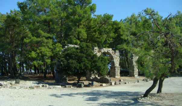 DSC00521