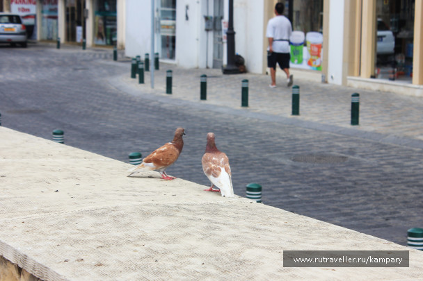photo 1692419